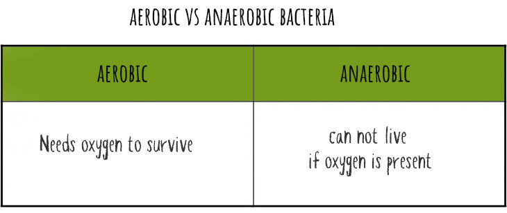 aerobic vs anaerobic bacteria