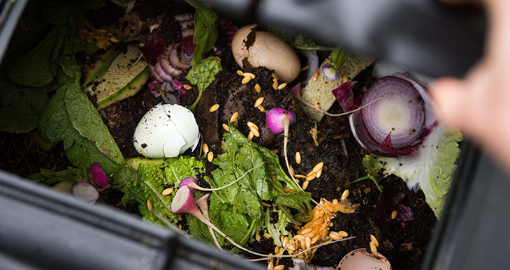 What Are The Benefits of Compost (Amazing Facts)