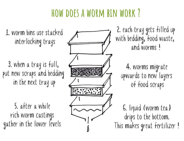 Picture of How To Compost In An Apartment (No Smells No Mess Guide!)