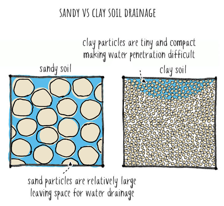 clay vs sandy soil drainage