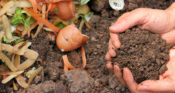 How to Compost Without a Bin (You Can Do This Instead)