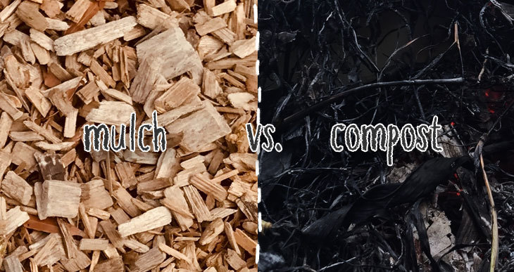 when to use compost vs mulch