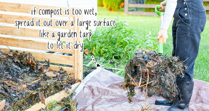 can you use wet compost