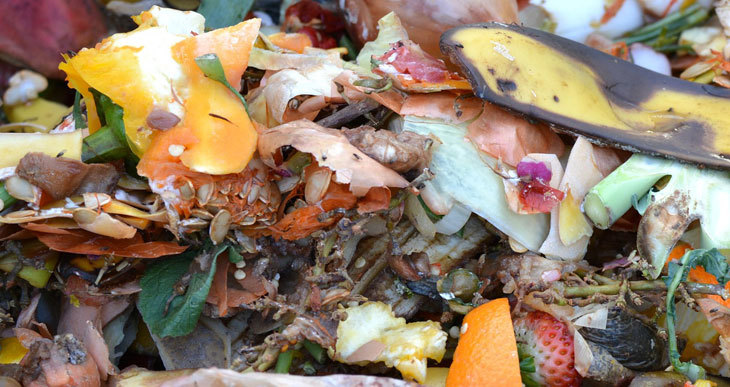 unfinished compost