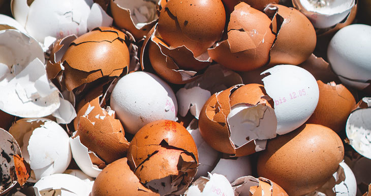 can you compost eggshells