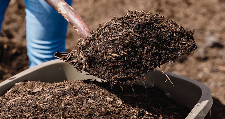 compost for clay soil