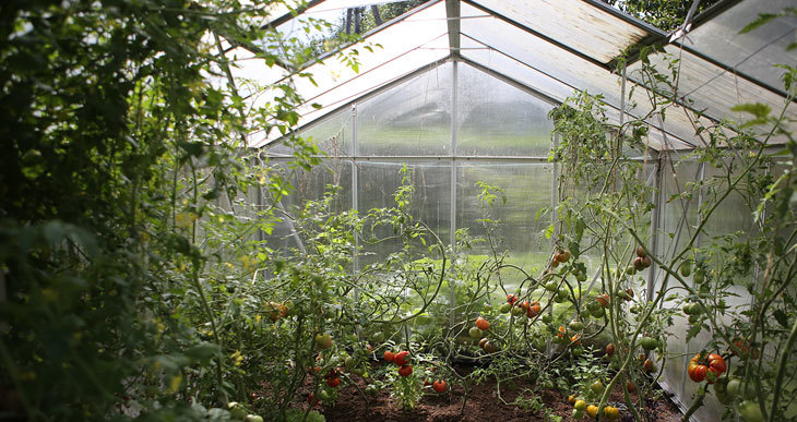 composting in a greenhouse