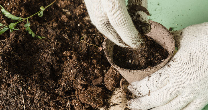 is mushroom compost good for seedlings