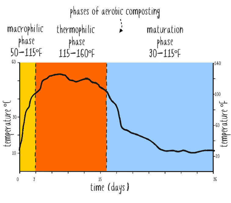 phases of composting and decomposition