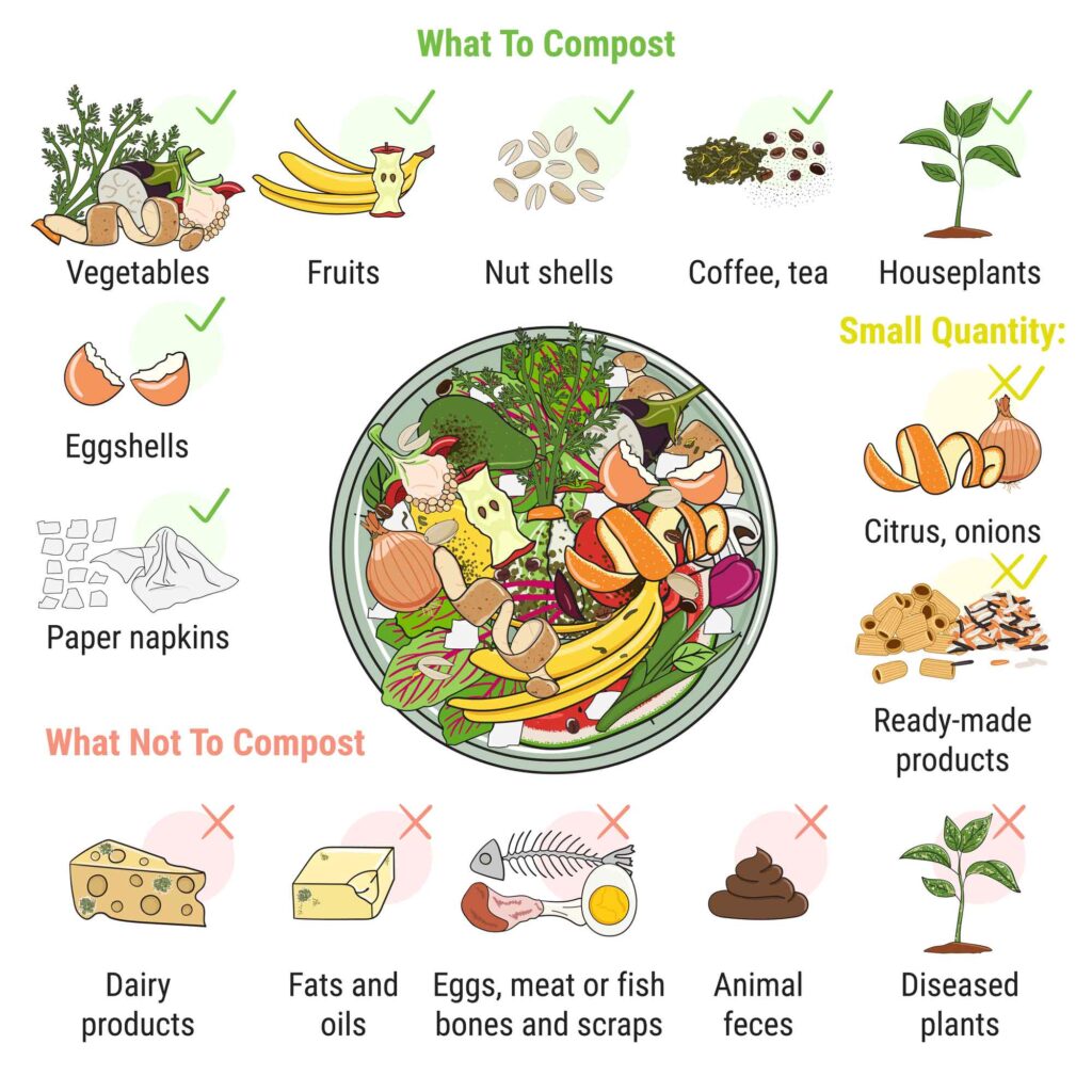 what can i compost illustrated chart
