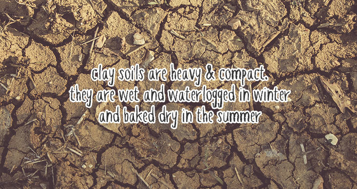 what does compost do to clay soil