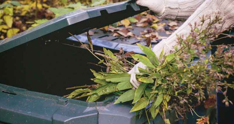 Can You Compost Weeds? (The Truth)