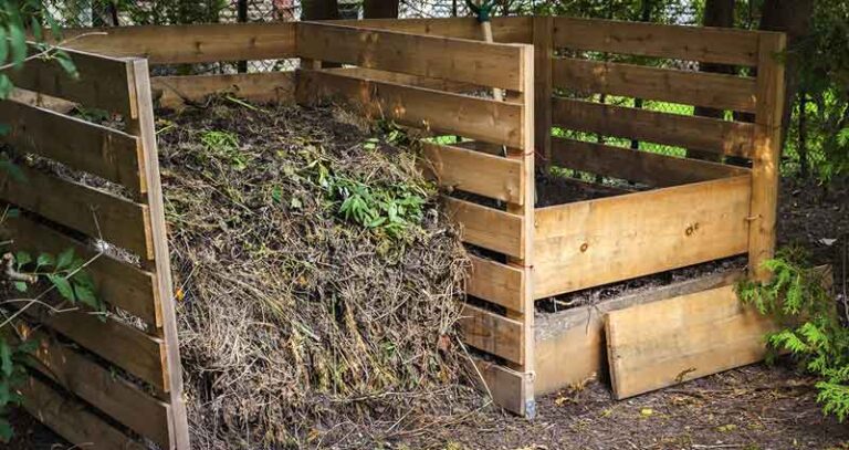Compost Size What Size Compost Bin Do I Need (Get The Answer Here!)