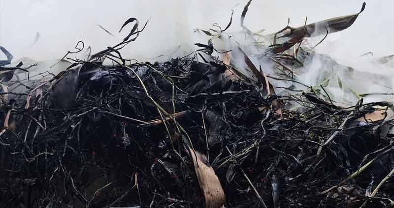 how does compost catch fire