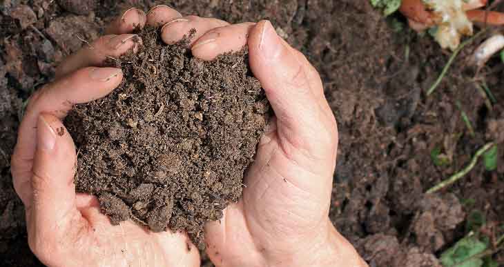 how long does compost last in soil