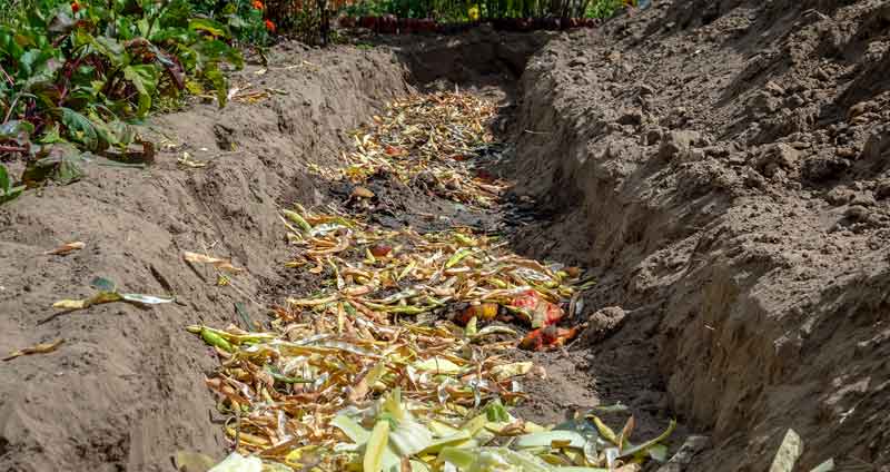 in ground compost