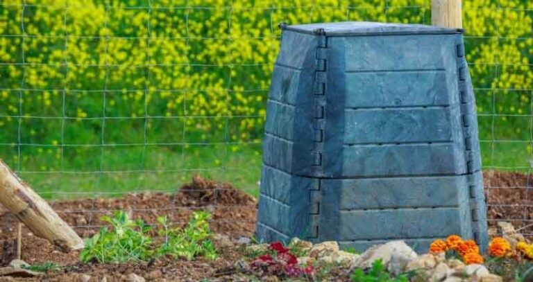 What Size Compost Bin Do I Need (Get The Answer Here!)