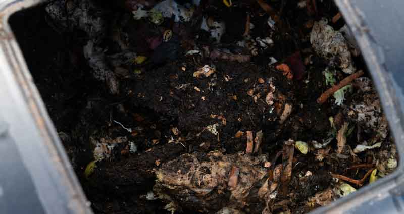 does compost turn into soil