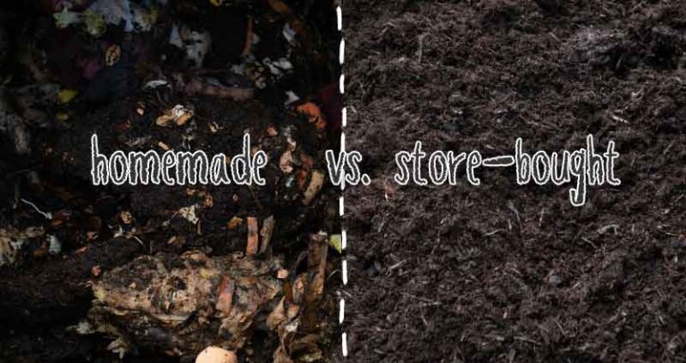 Is Homemade Compost Better Than Store-Bought?