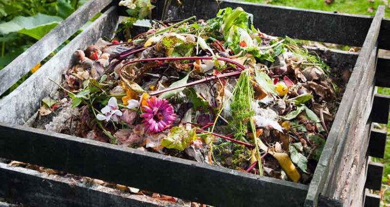 Hot Compost Vs. Cold Compost (Which Is Better?)