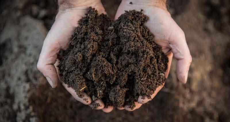 how to know when compost is ready