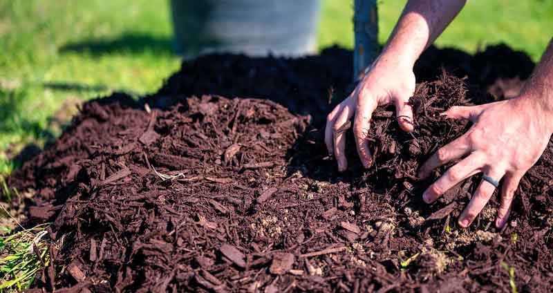 how to use compost as mulch