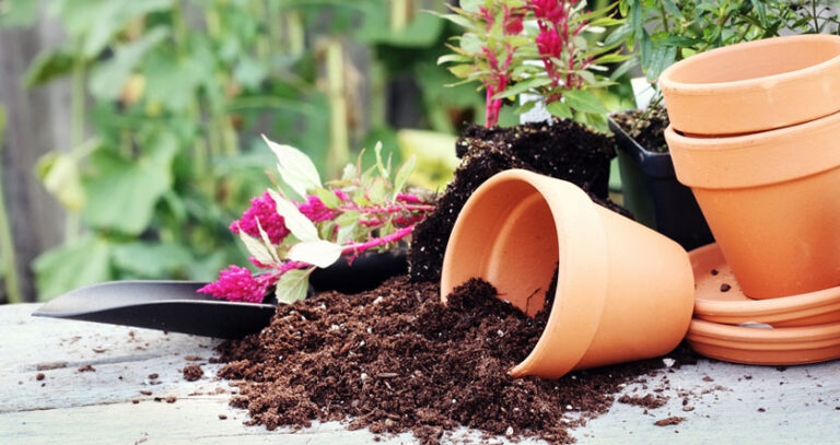 Does Potting Soil Go Bad (Don’t Make This Mistake!)