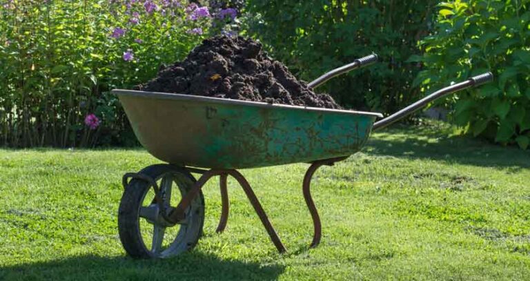 Adding Compost To A Lawn (The Ultimate Secret!)