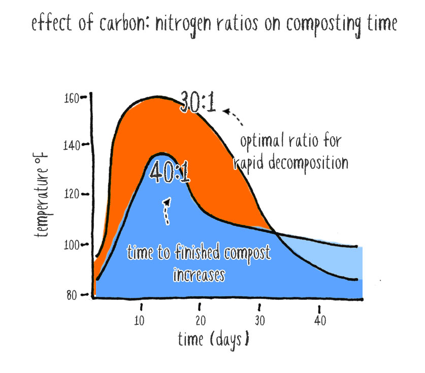 compost carbon to nitrogen ratio chart