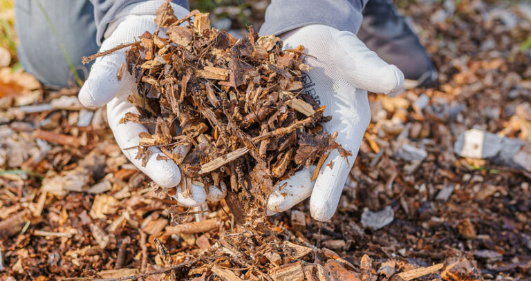 Composting Wood Chips (Quick & Easy!)