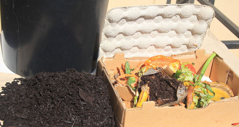 why bin composting is so easy
