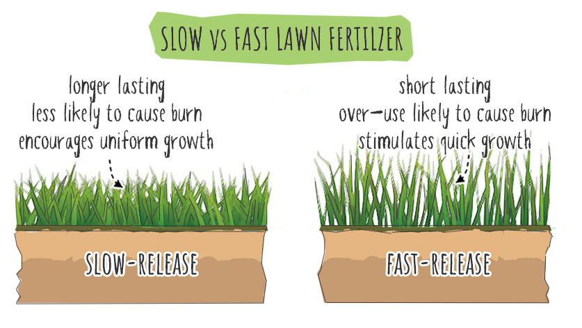 fast vs slow release lawn fertilizer