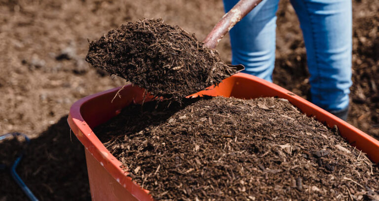 How To Use Compost (Every Way Possible!)