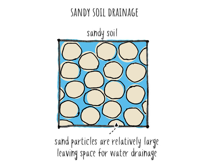 sandy soil drainage
