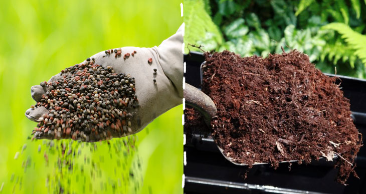 Do I Need Fertilizer If I Use Compost (Facts Revealed!)