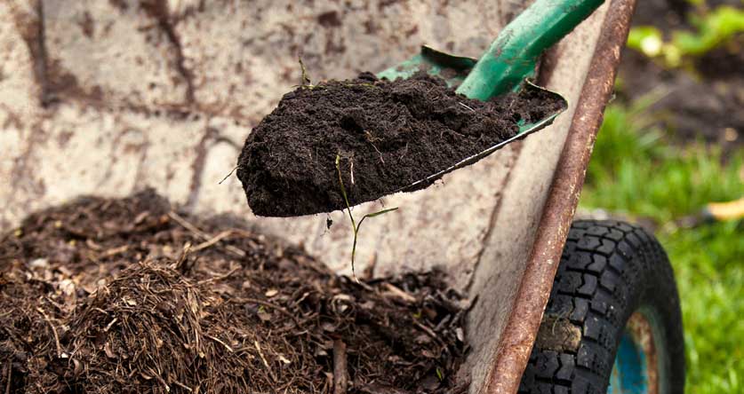 can you use compost as mulch