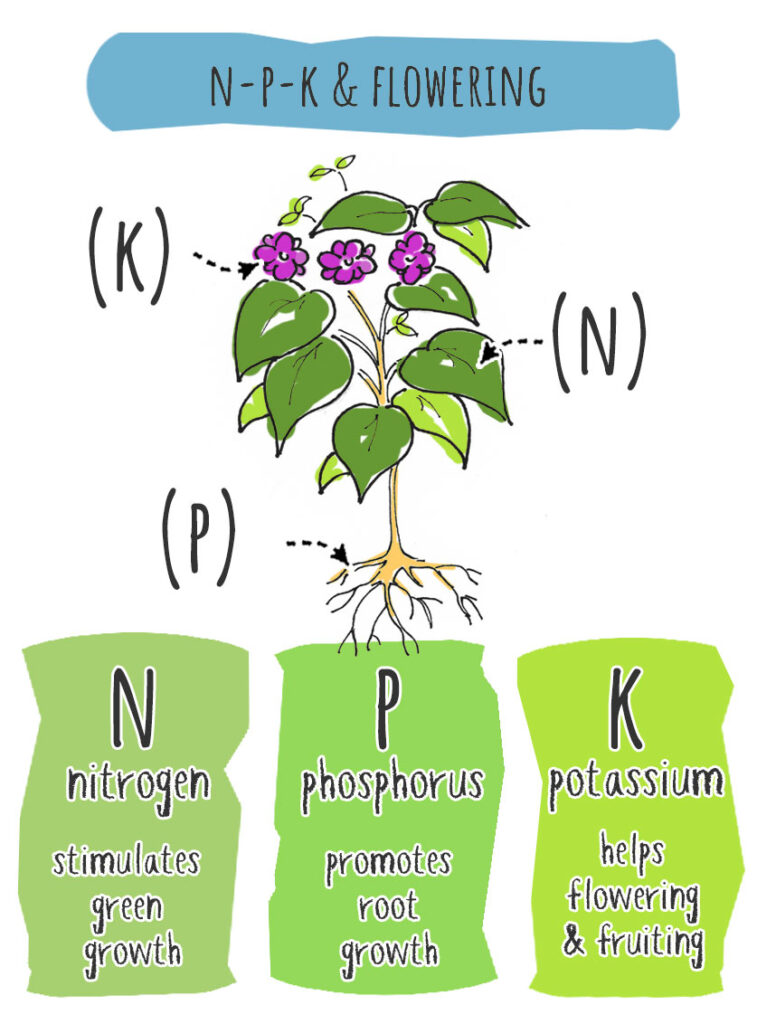n p k and flowering
