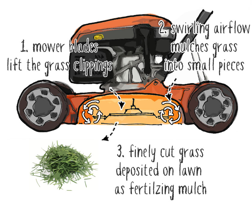 how a mulching mower works