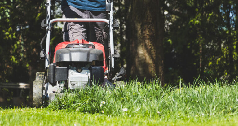 What Is A Mulching Lawn Mower? (The Secret to Perfect Lawns?)